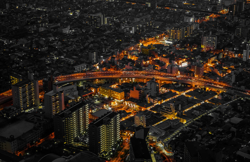 RECONNECTING WITH YOUR PURPOSE - TOKYO